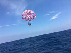 ܂ς񂾂FACEւ̓eʐ^1