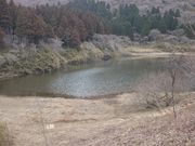 ꂨ񂳂̂ʃPr̓eʐ^2