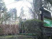 ܂ǂ̃tB[hAX`bN̂݃R[X̓eʐ^1