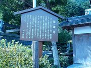 �Ԃ񂽂���̐��@���̓��e�ʐ^1