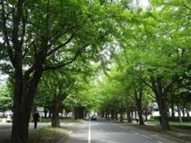 �V�΂̃C�`���E����_�k��C�`���E����