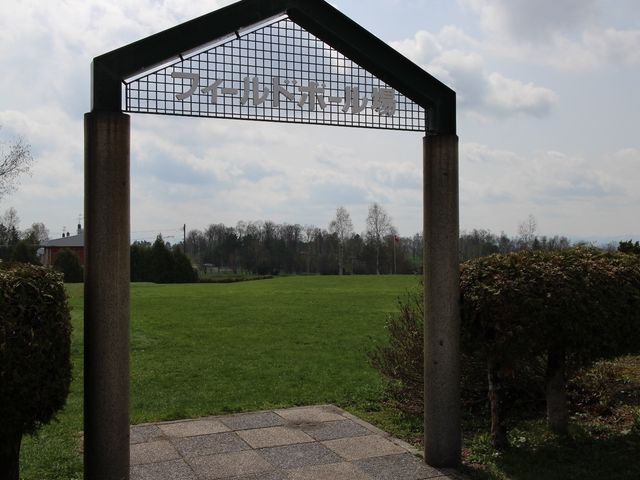 �t�B�[���h�{�[����_�t�B�[���h�{�[����