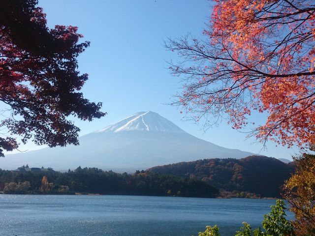 ���݂��g���l�����璭�߂�x�m�R_�͌��Έ��