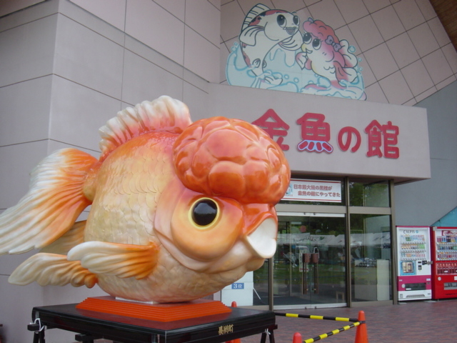 ��񂿂イ_�����ƌ�̋��L��