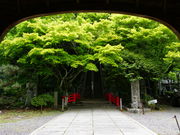 J`̔@ӗ֎iÕωj̓eʐ^2