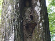 J`̔@ӗ֎iÕωj̓eʐ^4