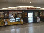 Bl̃V^[E_Ci[ GL[gX iSITAARA DINERj̓eʐ^1