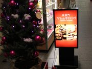 �G�h����̗L�y���J�t�F���_�C�j���O�y���F���C�����L���t�F�e���A�z�̓��e�ʐ^1