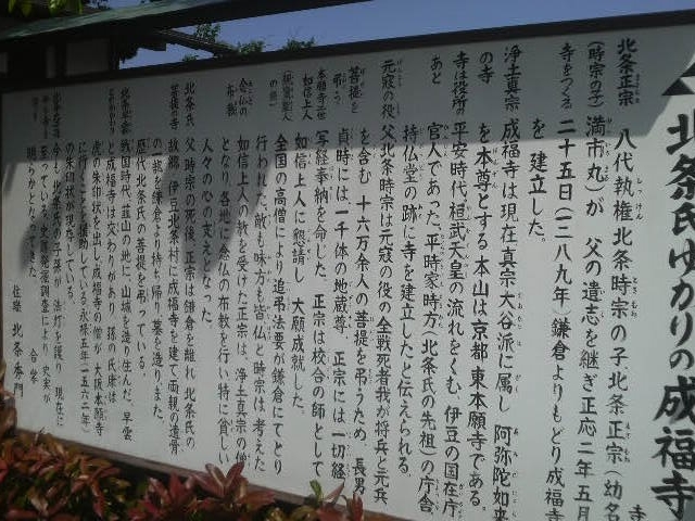 ������_������