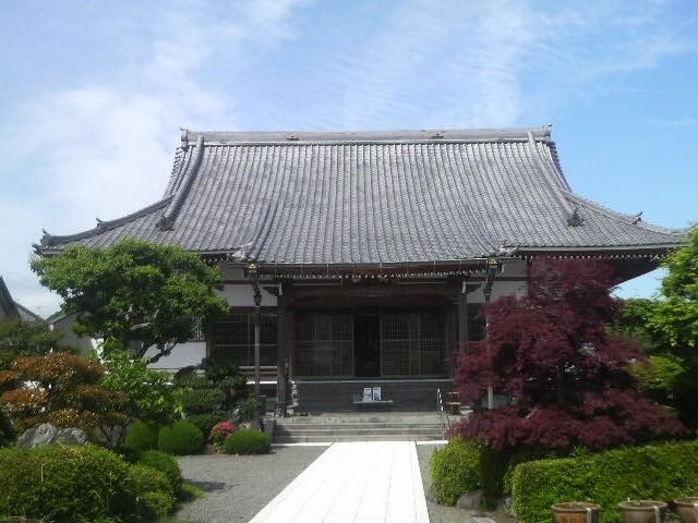 ������_������