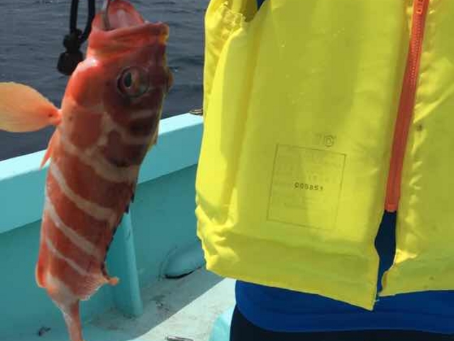 30cm�I�[�o�[_���C�����}���������Ȃ�