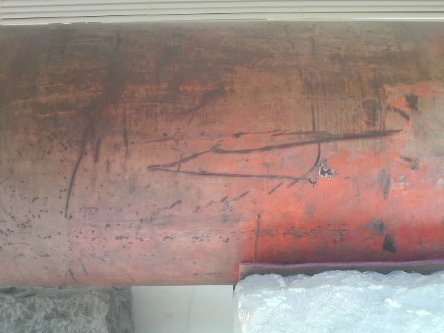 Ƃ񂳂̒nk̎CiwVRLOj̓eʐ^1