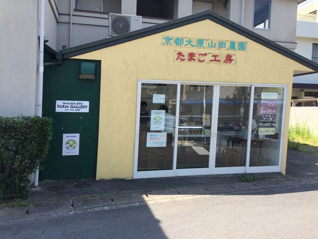 }[̋s匴Rc_Cw@̔@X̓eʐ^1