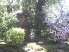 Ƃ񂳂̎Os@yւ̓eʐ^2