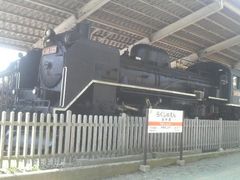 Ƃ񂳂̎Os@yւ̓eʐ^3