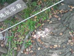 Ƃ񂳂̎Os@yւ̓eʐ^5