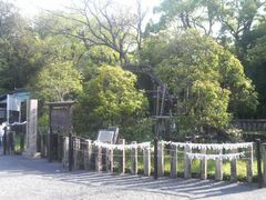 Ƃ񂳂̎OЂ̃LNZCւ̓eʐ^1