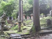 Ƃ񂳂̍]쑾YGpiRj̕E]Ƃ̕񎛂̓eʐ^4