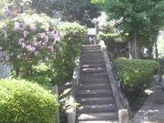 Ƃ񂳂̖k̕iŖj̓eʐ^2