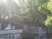 Ƃ񂳂̖k`̕ikj̓eʐ^1