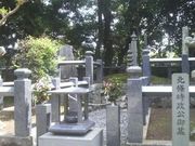 Ƃ񂳂̑XہEk̓̕eʐ^1