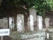 Ƃ񂳂̑XہEk̓̕eʐ^2