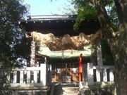 Ƃ񂳂̊Ԗ_Ђ̓eʐ^1