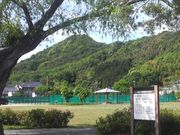 Ƃ񂳂̒nk̎CiwVRLOj̓eʐ^5