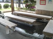 Ƃ񂳂̃ANVX炬̓eʐ^3