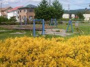 Ƃ񂳂̎샊o[TChp[N̓eʐ^4