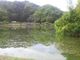 さとけんさんの城池親水公園の投稿写真1