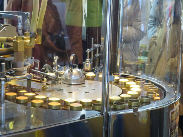 ܂񂶂イĂlq܂_e쏤X