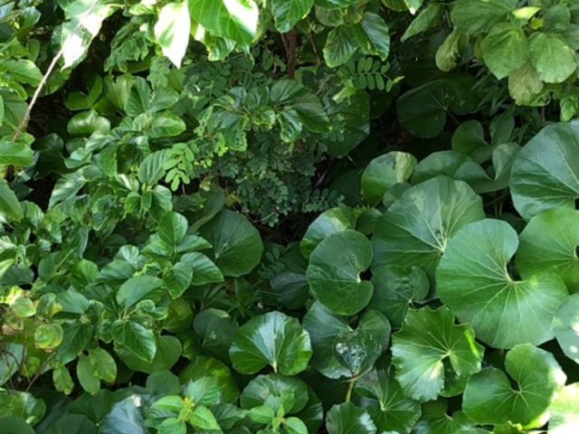 �A��_���\���R�x�{��