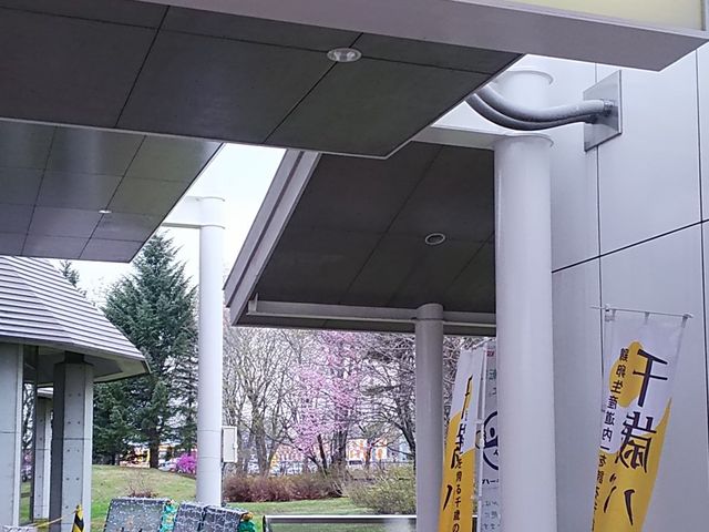 񂳂̃LrAXgEnEx̓eʐ^1