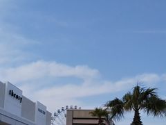 mama̎OAEgbgp[N@؍XÂւ̓eʐ^1