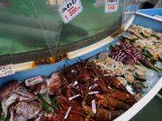 ̋gC^TCN^[~iỉw@悵݂ف@j̓eʐ^2