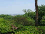 Todays̕R̃ccW̓eʐ^1