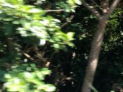 ���[�ҁ[����̋v�t�R�̓��e�ʐ^1