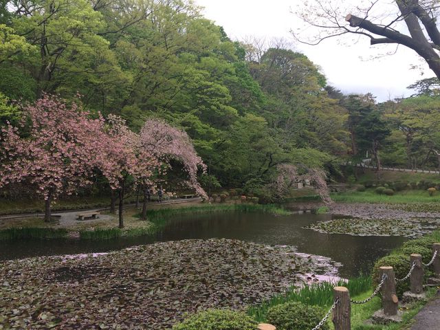 ���ƒr_��H�����̍�