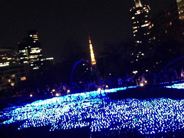 �����^���[�������܂�_�����~�b�h�^�E��