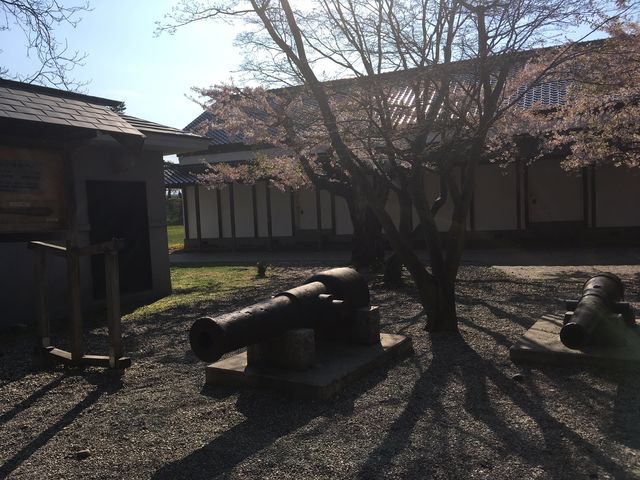 ���ِ푈�Ŏg�p���ꂽ��C��2��_�ܗŊs��