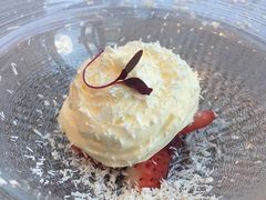 HIKO2̃XgOXzeÉւ̓eʐ^1