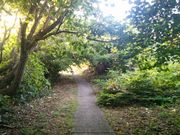 JȐĐKIRѐHij̓eʐ^1