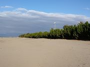 Ԃ񂽂̌Îȕ̓eʐ^1