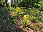 ׃A̒ctr lGʂ̓m 쉀icтˉj̓eʐ^1