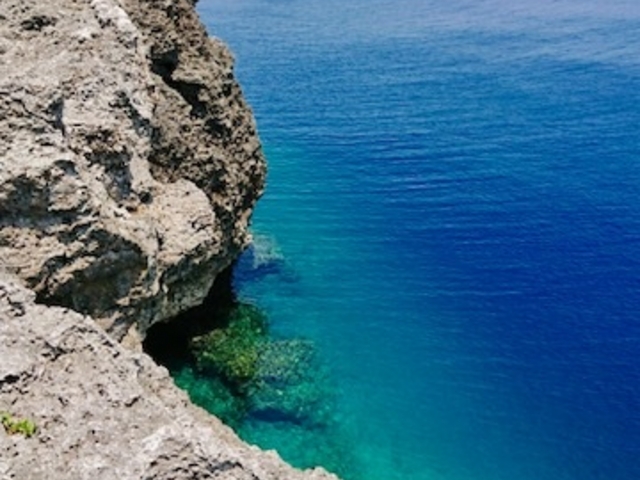 �c�g�� 180518 2_�c�g������