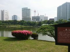 ܁[񂳂̒̒ril{뉀jւ̓eʐ^1