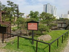 ܁[񂳂̒̒ril{뉀jւ̓eʐ^2