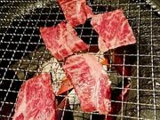 EwC̓SƗ kJ_CjO̓eʐ^2