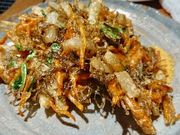 EwC̓SƗ kJ_CjO̓eʐ^4